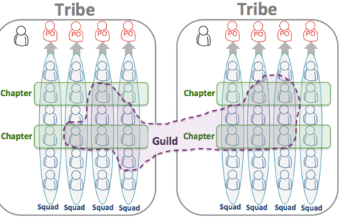 Understanding Tribes, Guilds, Pods/Squads in Agile